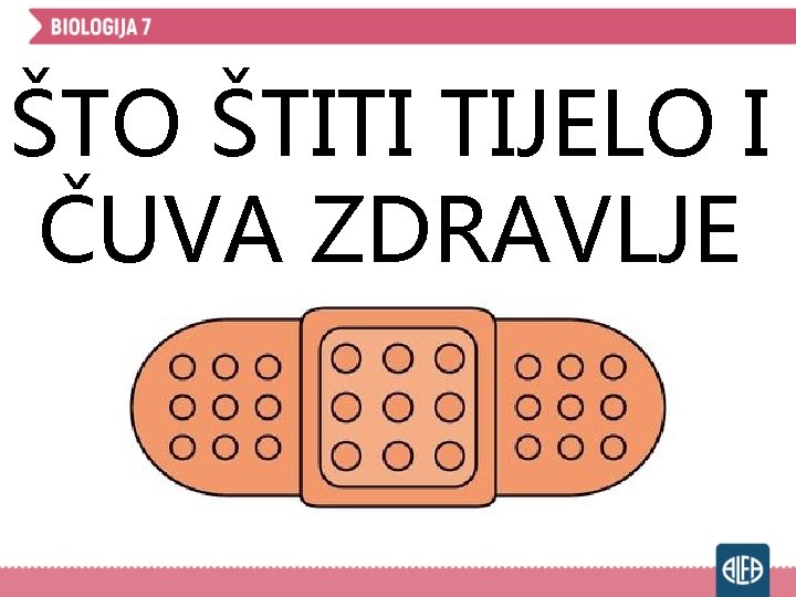 ŠTO ŠTITI TIJELO I ČUVA ZDRAVLJE 