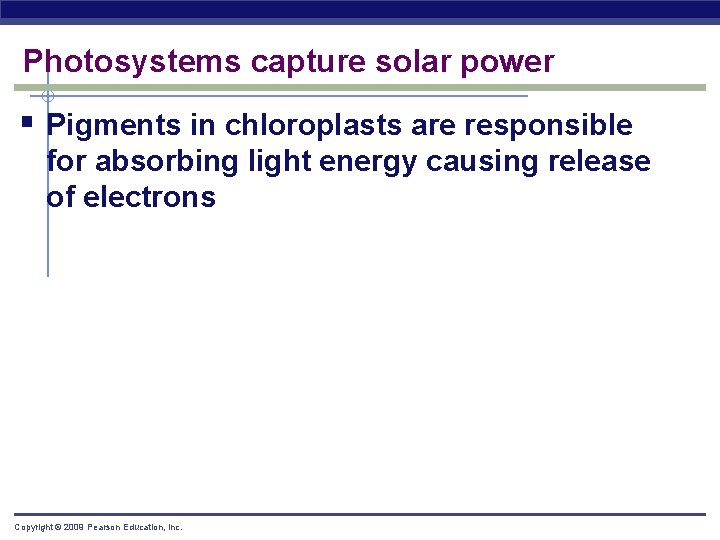 Photosystems capture solar power § Pigments in chloroplasts are responsible for absorbing light energy