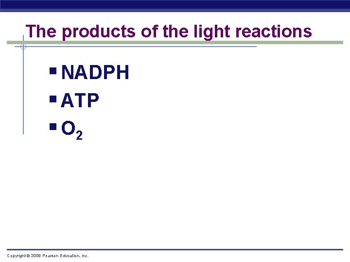 The products of the light reactions § NADPH § ATP § O 2 Copyright