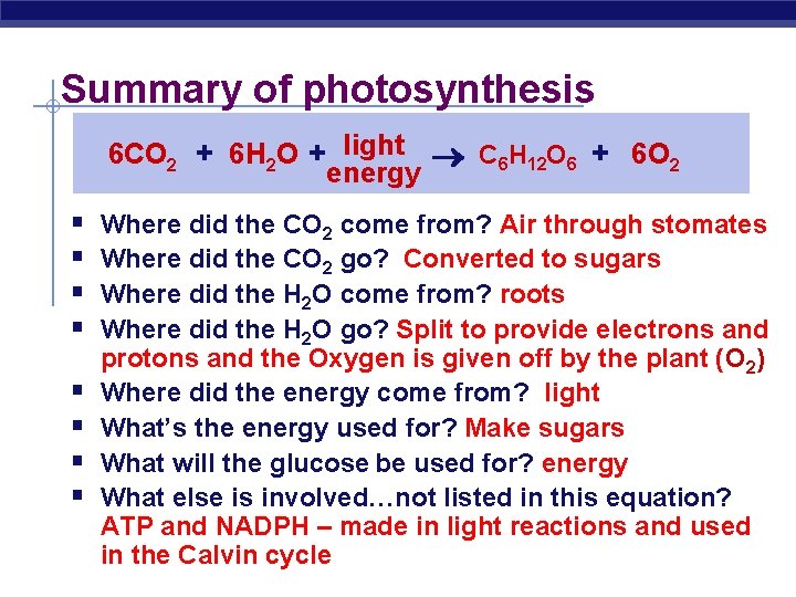 Summary of photosynthesis 6 CO 2 + 6 H 2 O + light C