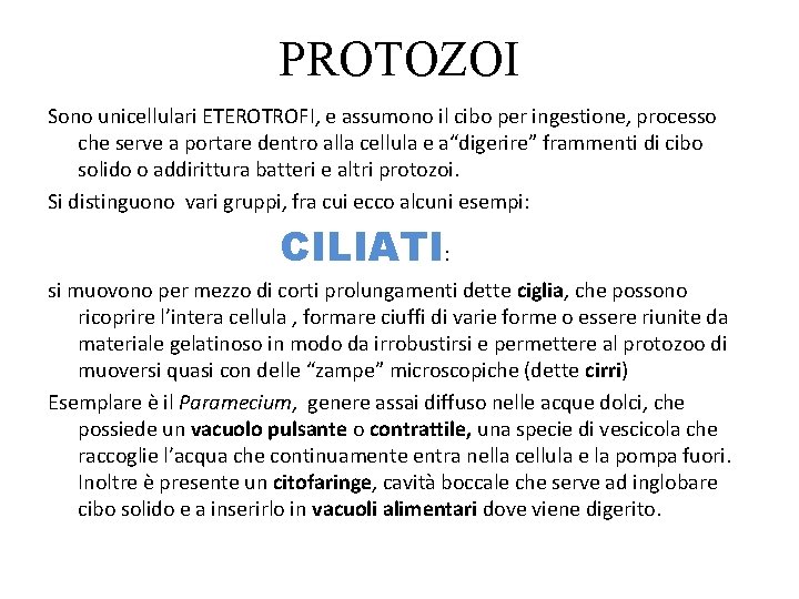 PROTOZOI Sono unicellulari ETEROTROFI, e assumono il cibo per ingestione, processo che serve a