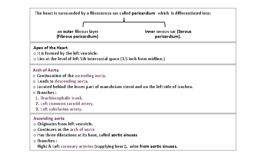 The heart is surrounded by a fibroserous sac called pericardium which is differentiated into: