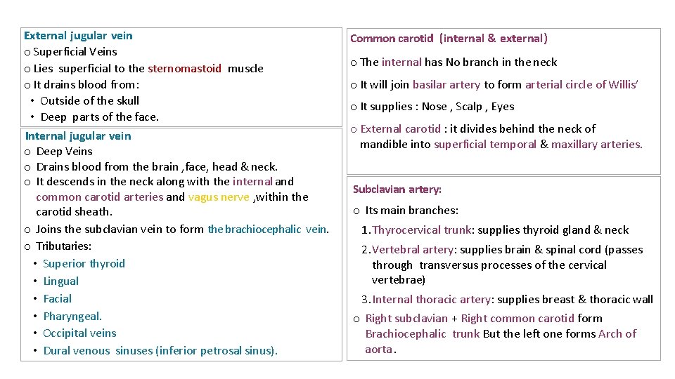 External jugular vein o Superficial Veins o Lies superficial to the sternomastoid muscle o