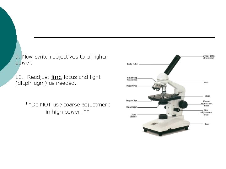 9. Now switch objectives to a higher power. 10. Readjust fine focus and light