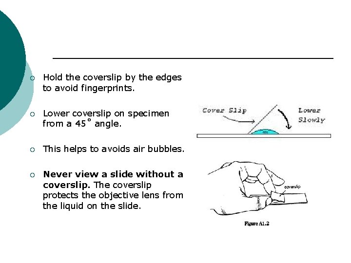 ¡ Hold the coverslip by the edges to avoid fingerprints. ¡ Lower coverslip on