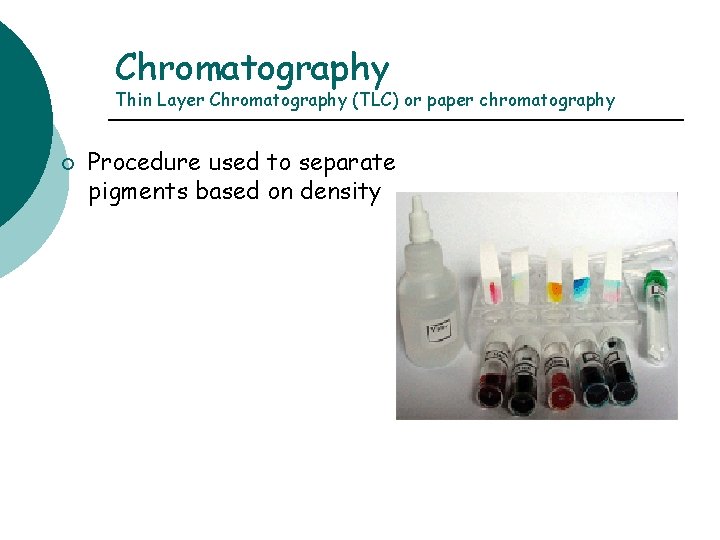 Chromatography Thin Layer Chromatography (TLC) or paper chromatography ¡ Procedure used to separate pigments