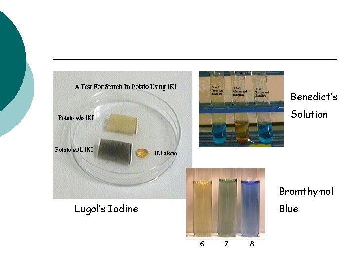 Benedict’s Solution Bromthymol Lugol’s Iodine Blue 