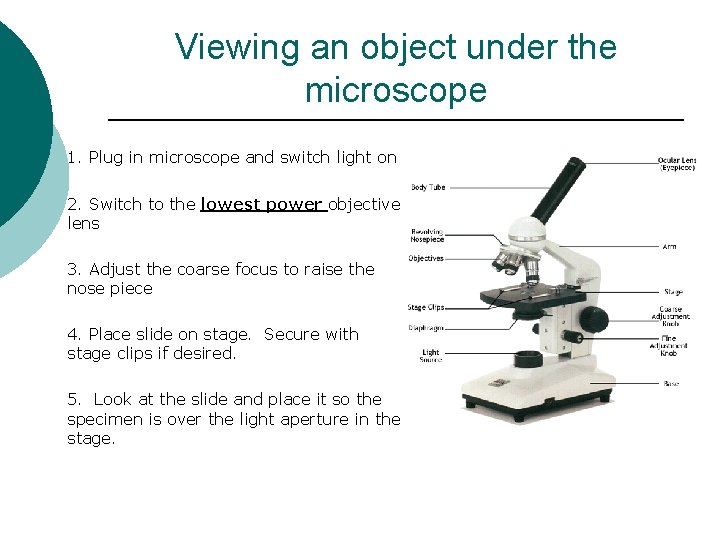 Viewing an object under the microscope 1. Plug in microscope and switch light on