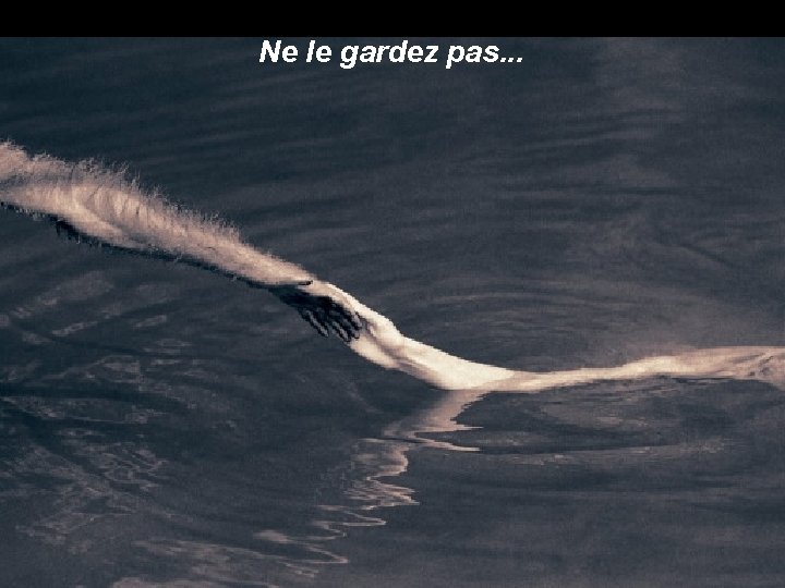 Ne le gardez pas. . . 