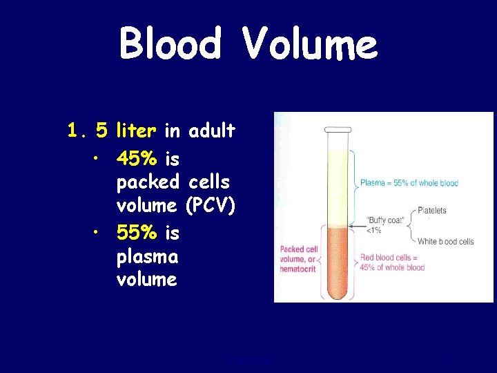Blood Volume 1. 5 liter in adult • 45% is packed cells volume (PCV)