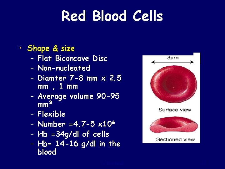 Red Blood Cells • Shape & size – Flat Biconcave Disc – Non-nucleated –