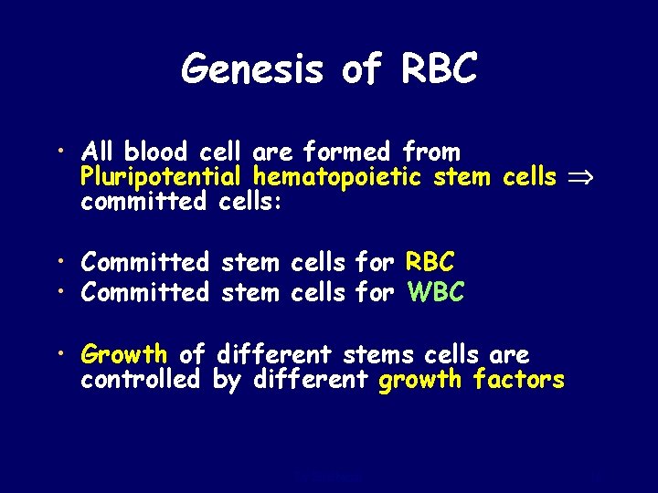 Genesis of RBC • All blood cell are formed from Pluripotential hematopoietic stem cells