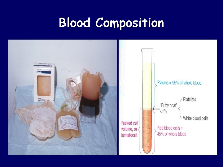 Blood Composition 