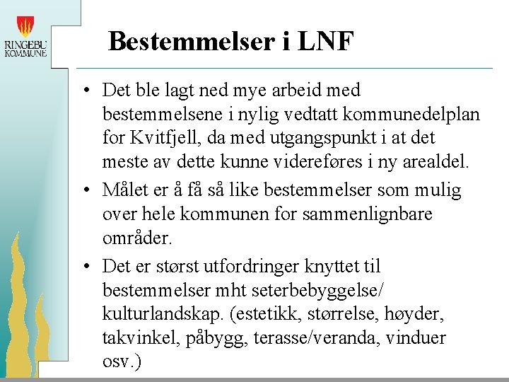 Bestemmelser i LNF • Det ble lagt ned mye arbeid med bestemmelsene i nylig