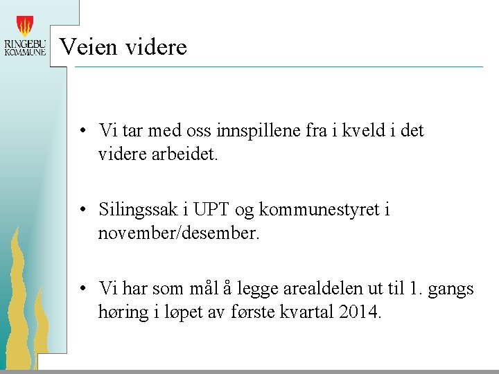 Veien videre • Vi tar med oss innspillene fra i kveld i det videre