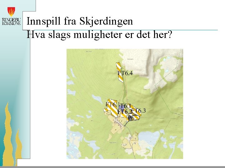 Innspill fra Skjerdingen Hva slags muligheter er det her? 