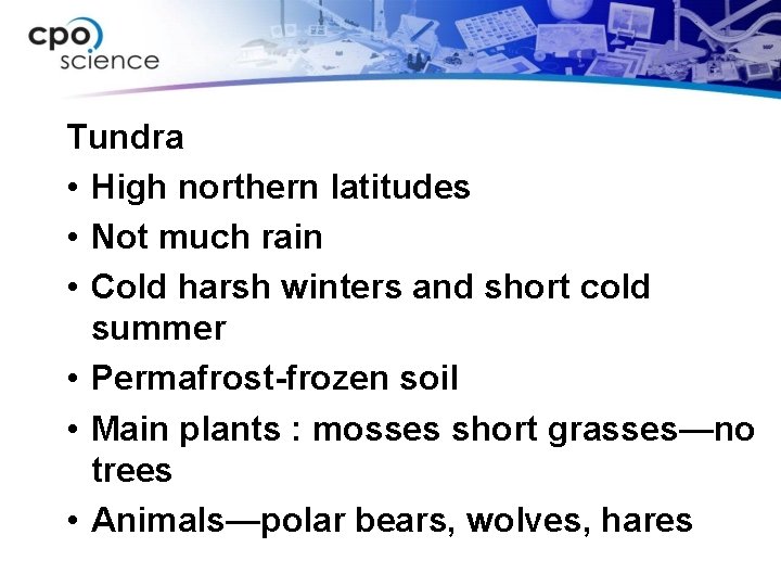 Tundra • High northern latitudes • Not much rain • Cold harsh winters and