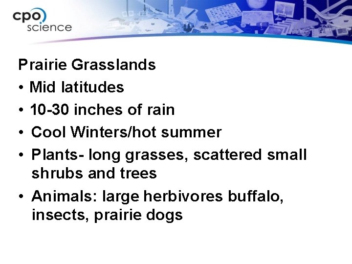 Prairie Grasslands • Mid latitudes • 10 -30 inches of rain • Cool Winters/hot
