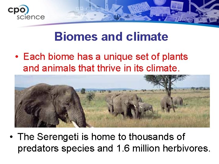 Biomes and climate • Each biome has a unique set of plants and animals