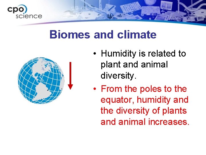 Biomes and climate • Humidity is related to plant and animal diversity. • From