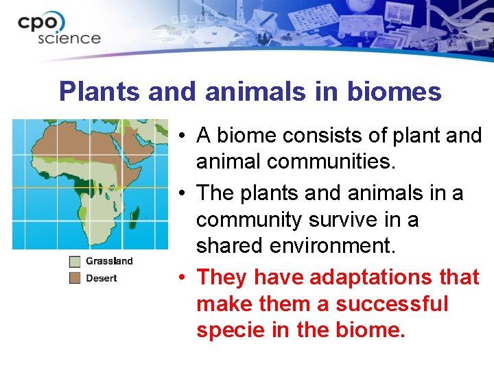 Plants and animals in biomes • A biome consists of plant and animal communities.
