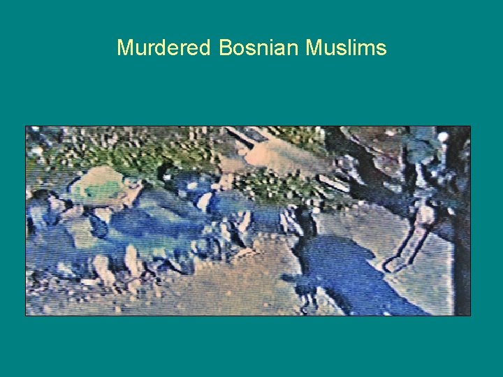 Murdered Bosnian Muslims 