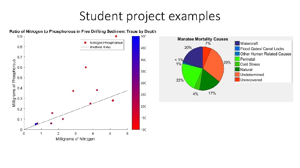 Student project examples 