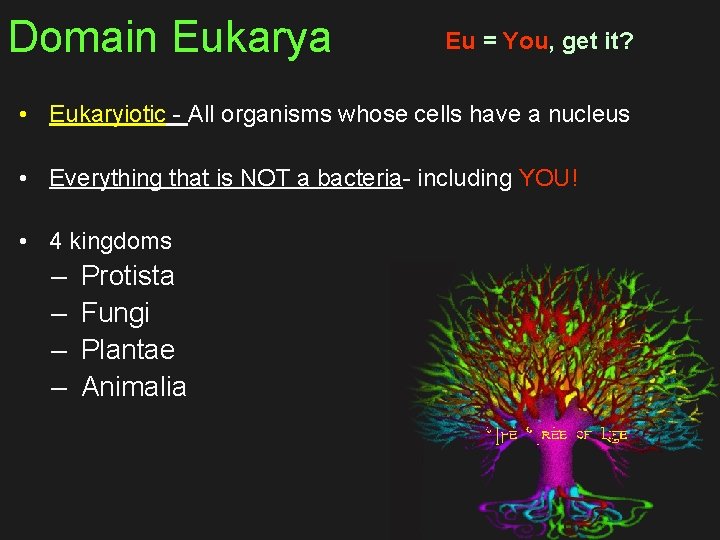 Domain Eukarya Eu = You, get it? • Eukaryiotic - All organisms whose cells