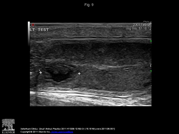 Fig. 9 Veterinary Clinics: Small Animal Practice 2011 411209 -1219 DOI: (10. 1016/j. cvsm.