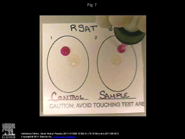 Fig. 7 Veterinary Clinics: Small Animal Practice 2011 411209 -1219 DOI: (10. 1016/j. cvsm.