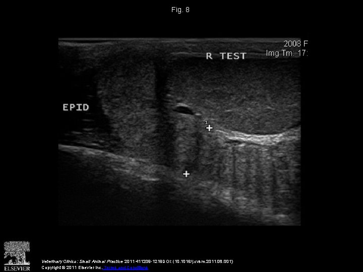 Fig. 8 Veterinary Clinics: Small Animal Practice 2011 411209 -1219 DOI: (10. 1016/j. cvsm.