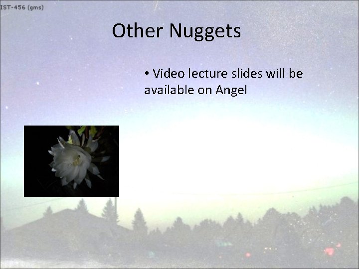 Other Nuggets • Video lecture slides will be available on Angel 