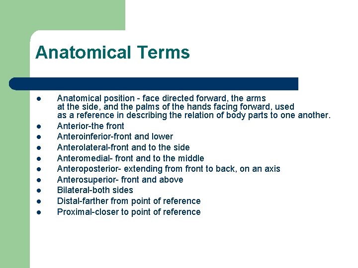Anatomical Terms l l l l l Anatomical position - face directed forward, the