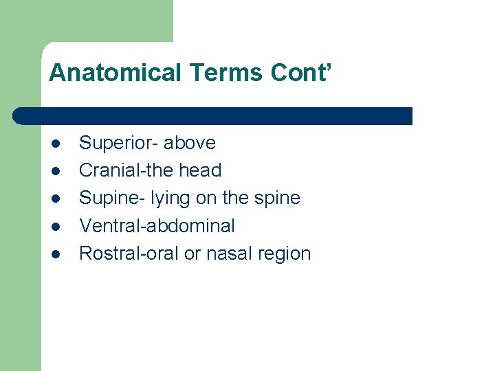 Anatomical Terms Cont’ l l l Superior- above Cranial-the head Supine- lying on the