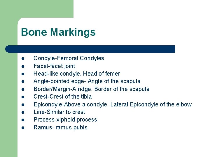 Bone Markings l l l l l Condyle-Femoral Condyles Facet-facet joint Head-like condyle. Head