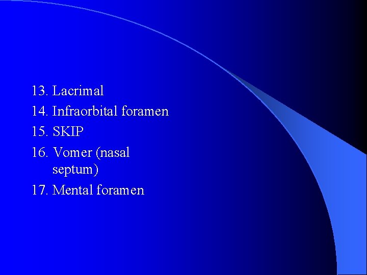 13. Lacrimal 14. Infraorbital foramen 15. SKIP 16. Vomer (nasal septum) 17. Mental foramen