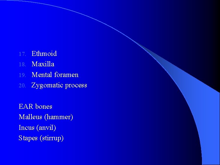 Ethmoid 18. Maxilla 19. Mental foramen 20. Zygomatic process 17. EAR bones Malleus (hammer)