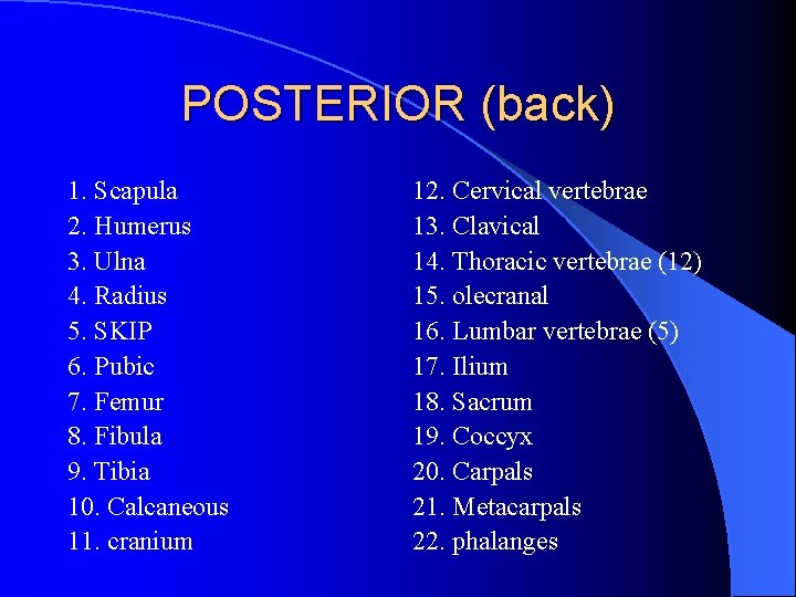 POSTERIOR (back) 1. Scapula 2. Humerus 3. Ulna 4. Radius 5. SKIP 6. Pubic