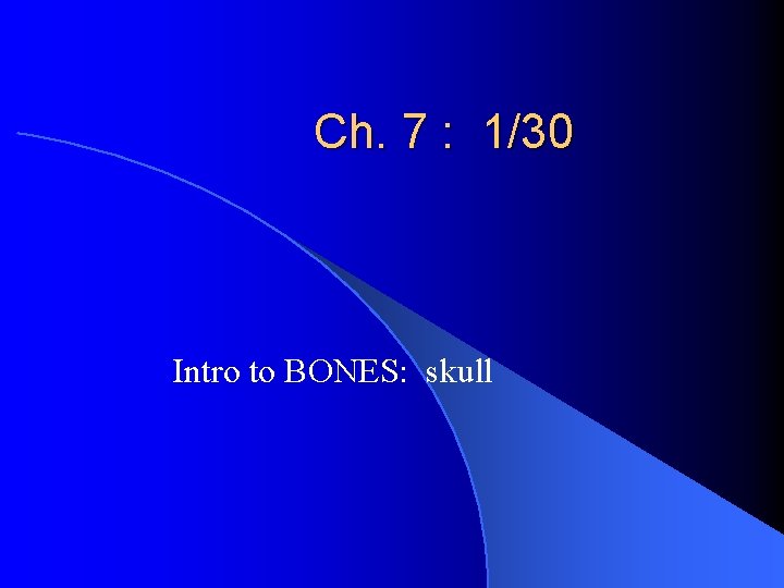 Ch. 7 : 1/30 Intro to BONES: skull 