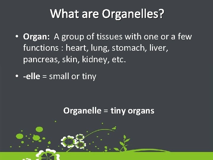 What are Organelles? • Organ: A group of tissues with one or a few