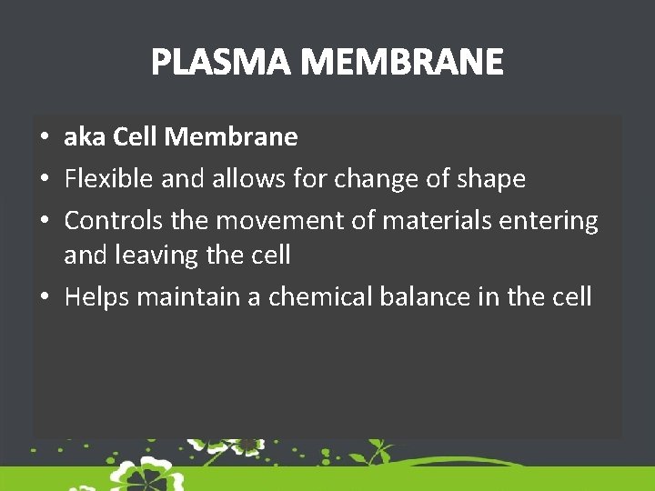 PLASMA MEMBRANE • aka Cell Membrane • Flexible and allows for change of shape