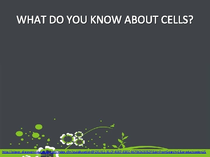WHAT DO YOU KNOW ABOUT CELLS? http: //player. discoveryeducation. com/index. cfm? guid. Asset. Id=BFC