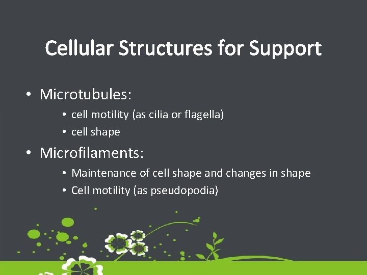 Cellular Structures for Support • Microtubules: • cell motility (as cilia or flagella) •