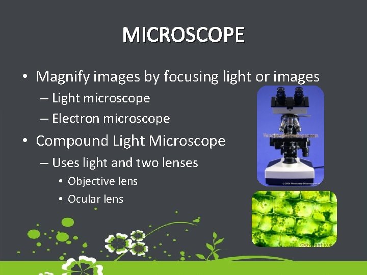 MICROSCOPE • Magnify images by focusing light or images – Light microscope – Electron