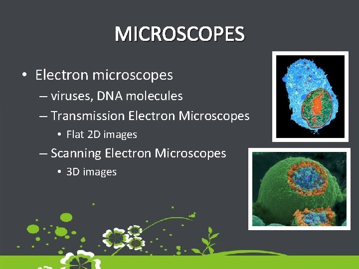 MICROSCOPES • Electron microscopes – viruses, DNA molecules – Transmission Electron Microscopes • Flat