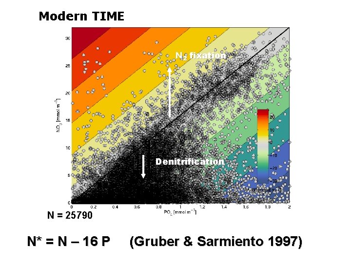 Modern TIME N 2 fixation Denitrification N = 25790 N* = N – 16