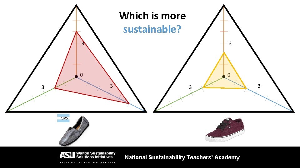 Which is more sustainable? National Sustainability Teachers’ Academy 