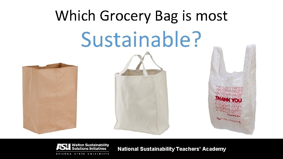 Which Grocery Bag is most Sustainable? National Sustainability Teachers’ Academy 