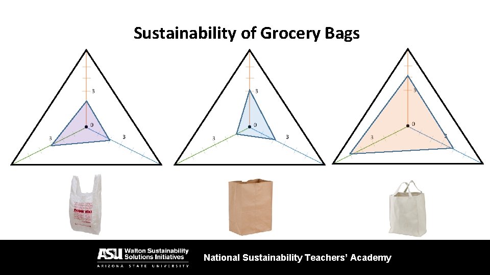 Sustainability of Grocery Bags National Sustainability Teachers’ Academy 