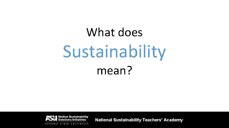 What does Sustainability mean? National Sustainability Teachers’ Academy 